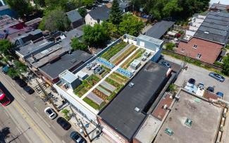 Rooftop garden from bird's eye view